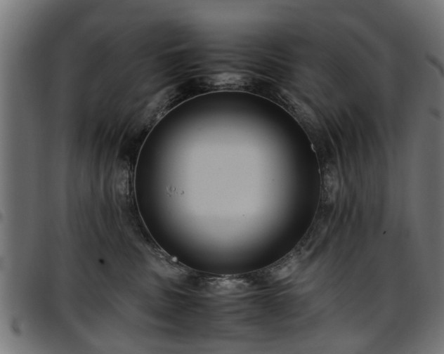 X0000096730379200802121320