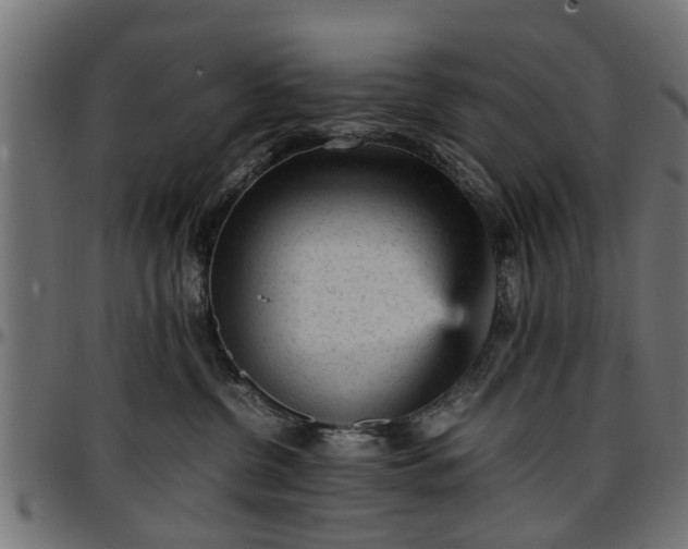 X0000096730380200802121320