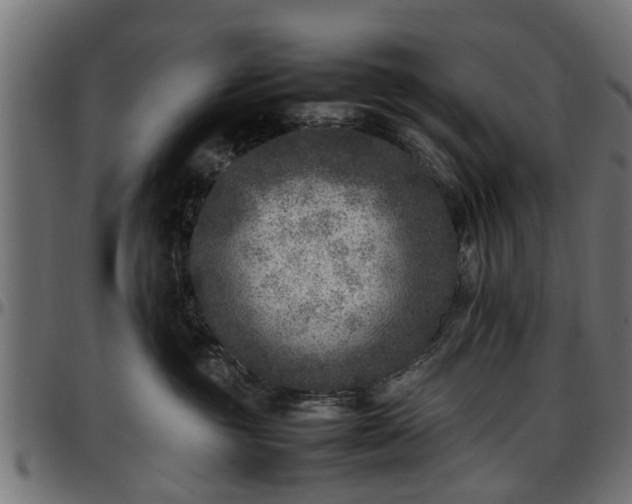 X0000096730381200802121320