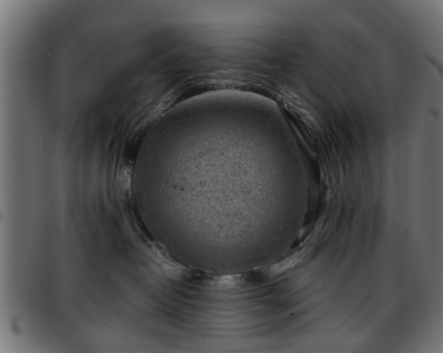 X0000096730382200802121320