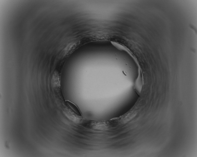 X0000096730384200802121320