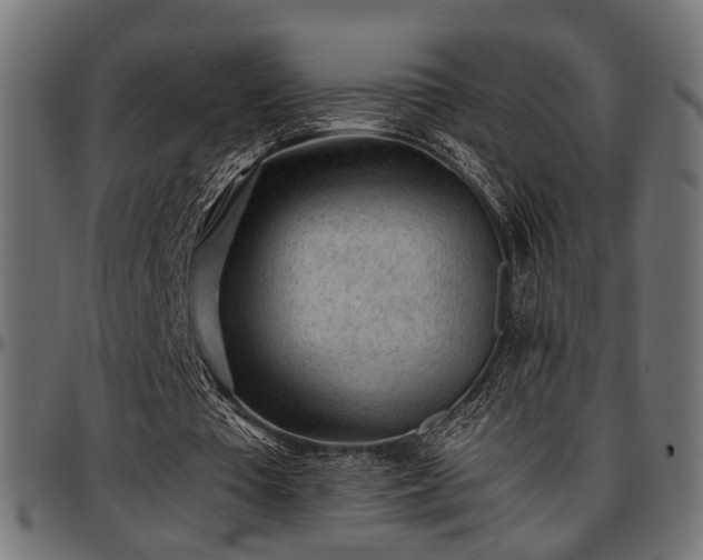X0000096730385200802121320