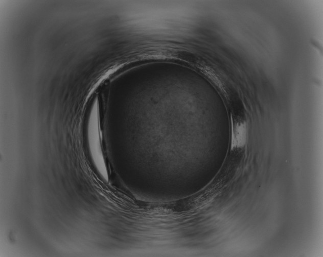 X0000096730387200802121320
