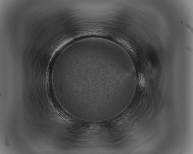 X0000096730388200802121319