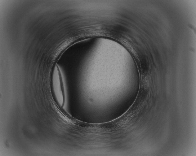X0000096730389200802121319