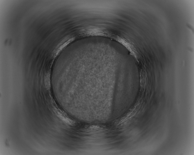 X0000096730390200802121319