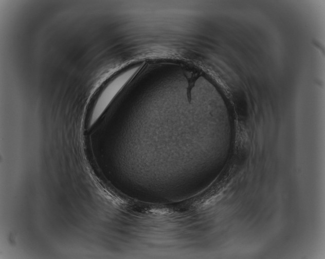 X0000096730391200802121319