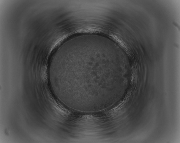 X0000096730392200802121319