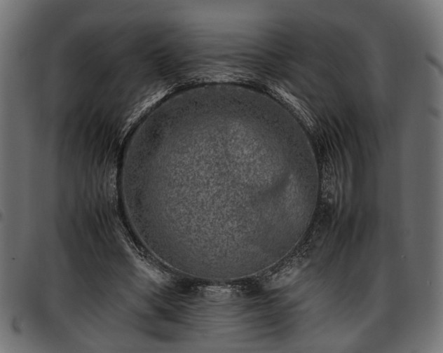 X0000096730394200802121319