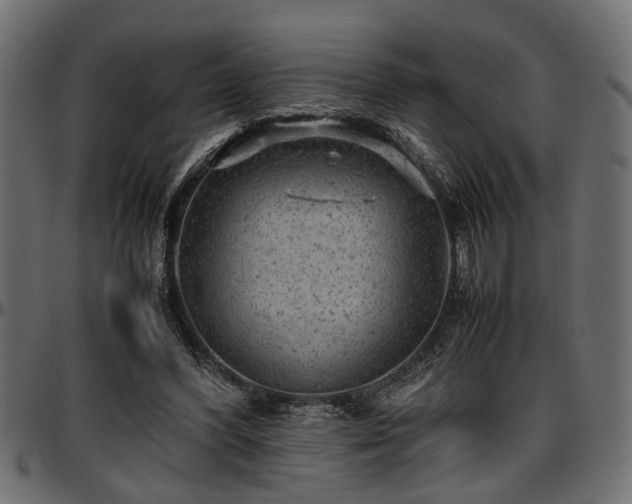 X0000096730396200802121319