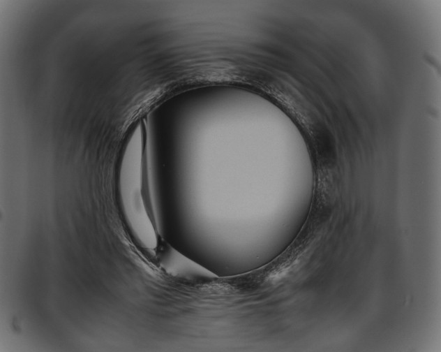 X0000096730397200802121319
