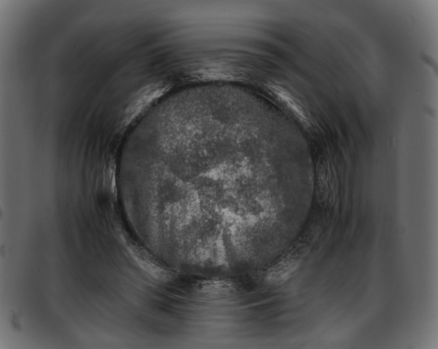 X0000096730398200802121319