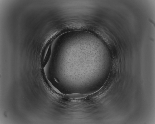 X0000096730399200802121319