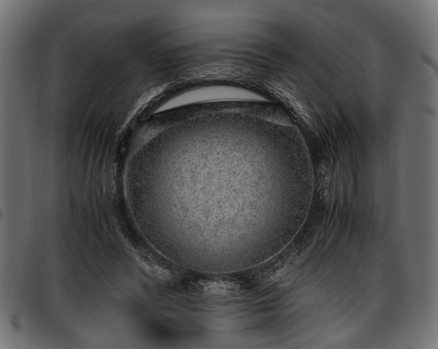 X0000096730400200802121319