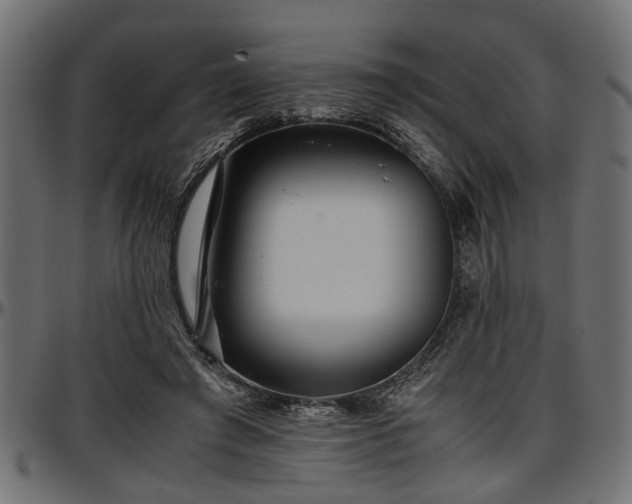 X0000096730401200802121319