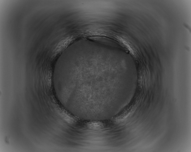 X0000096730402200802121319