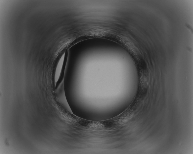 X0000096730403200802121319