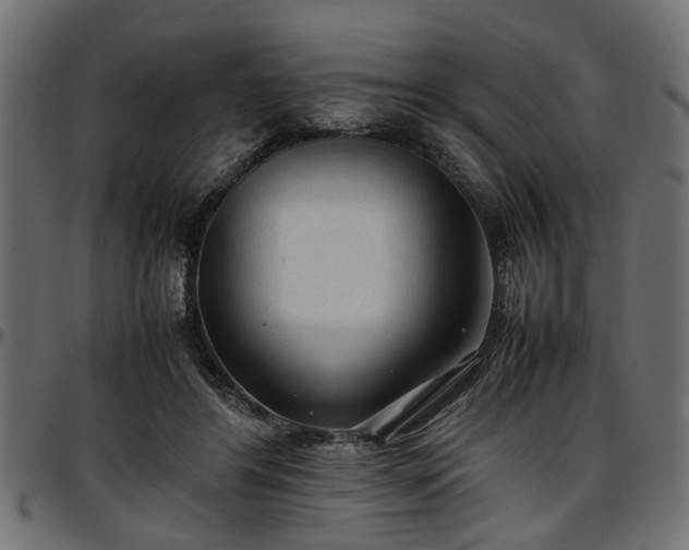 X0000096730404200802121319