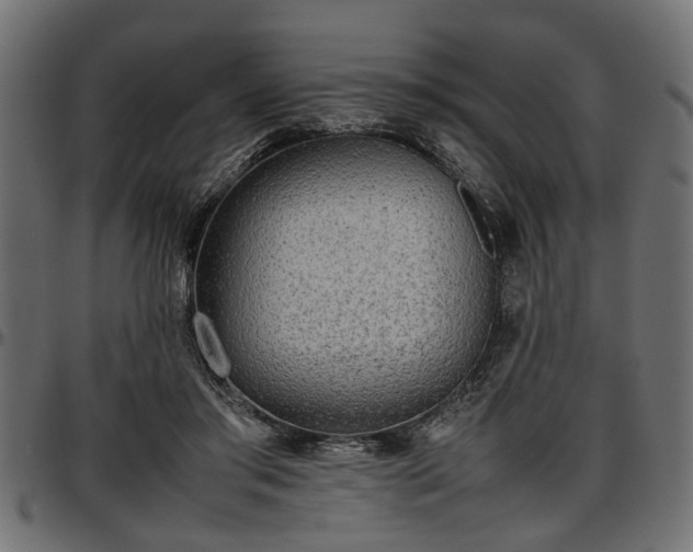 X0000096730405200802121319