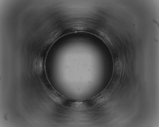 X0000096730406200802121319