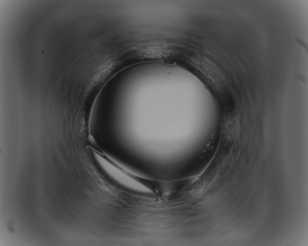X0000096730407200802121319