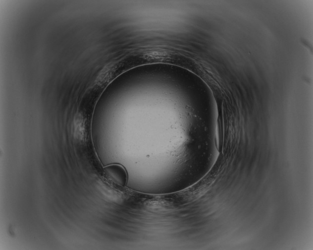 X0000096730408200802121319