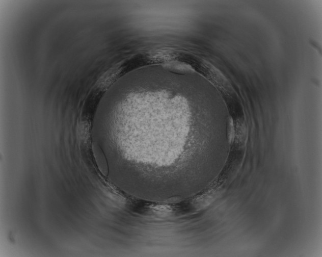 X0000096730409200802121319