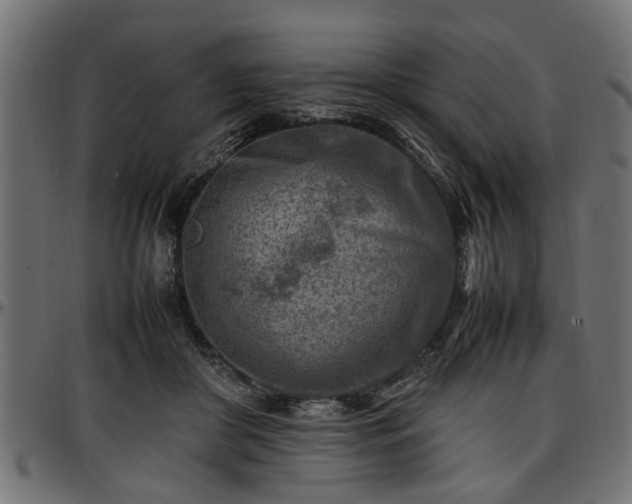 X0000096730410200802121319