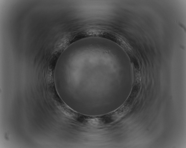 X0000096730411200802121319