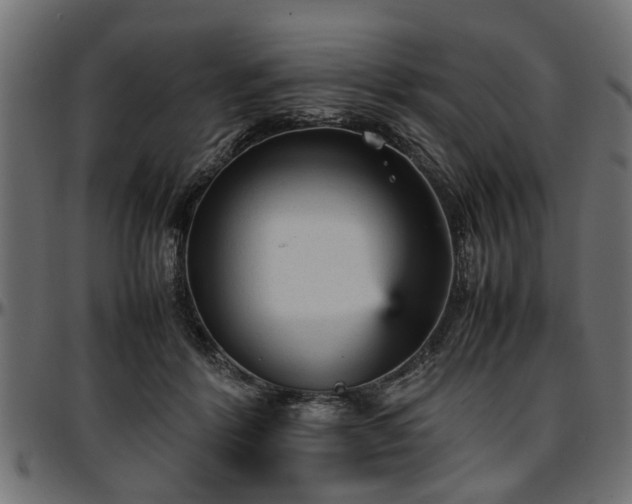 X0000096730412200802121319
