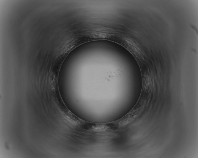 X0000096730414200802121319