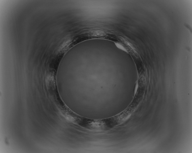 X0000096730415200802121319
