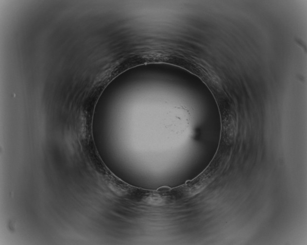 X0000096730416200802121319