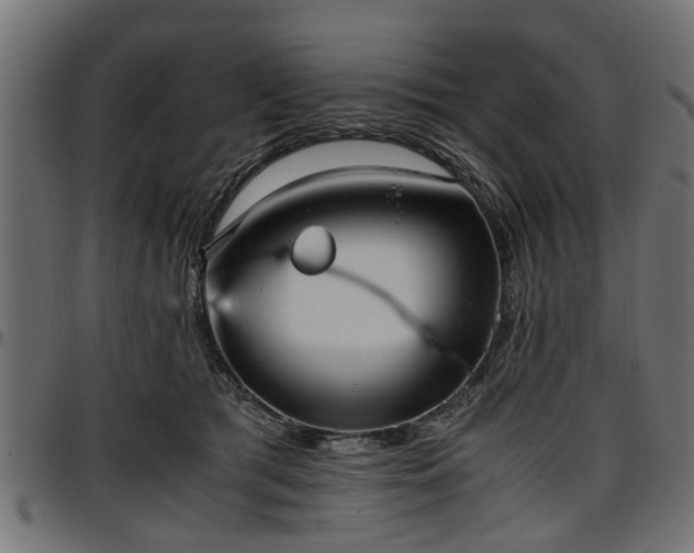 X0000096730417200802121319