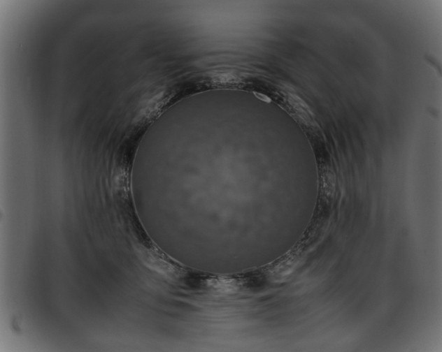 X0000096730419200802121319