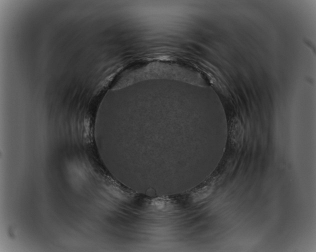 X0000096730420200802121319