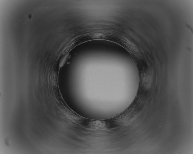 X0000096730421200802121319