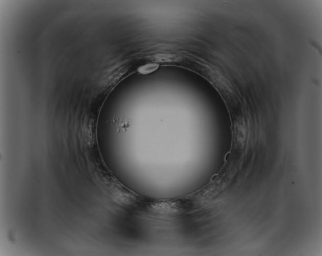 X0000096730422200802121319