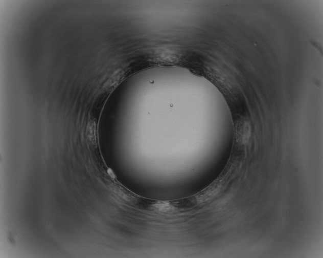 X0000096730425200802121319