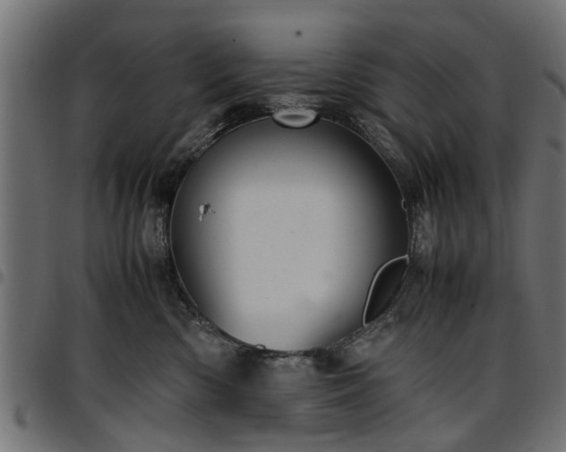 X0000096730426200802121319