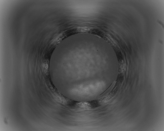X0000096730427200802121319