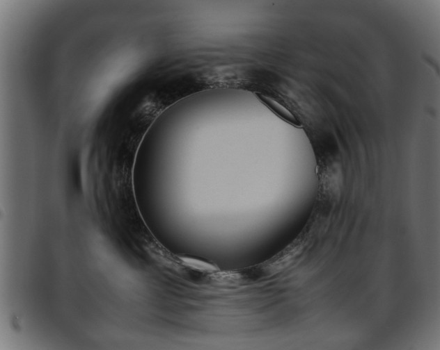 X0000096730429200802121319