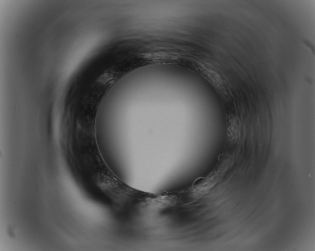 X0000096730430200802121319