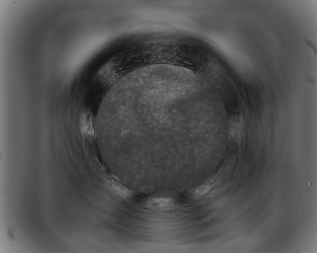 X0000096730431200802121319