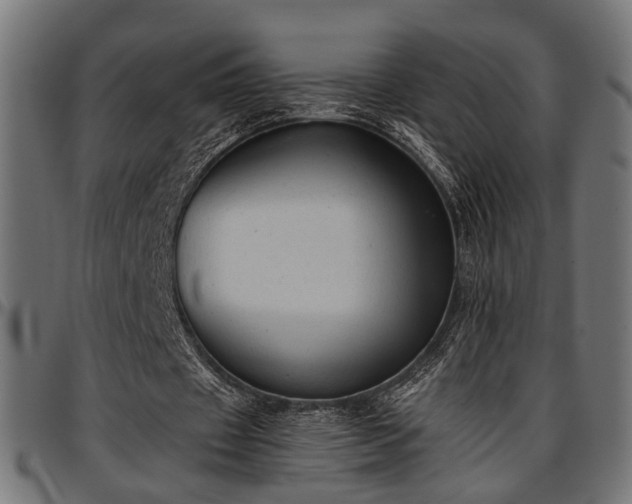 X0000096730433200802121318