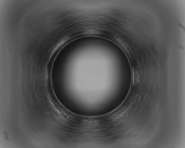 X0000096730435200802121318