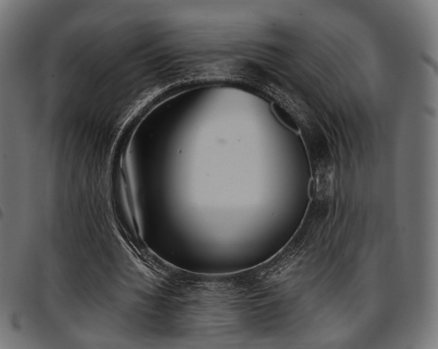 X0000096730436200802121318