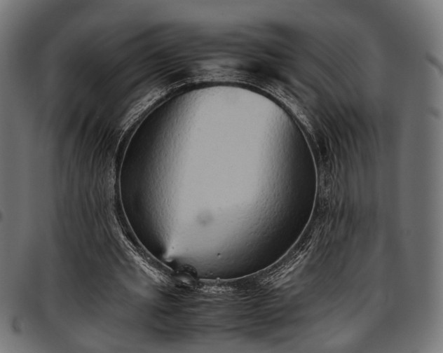 X0000096730437200802121318