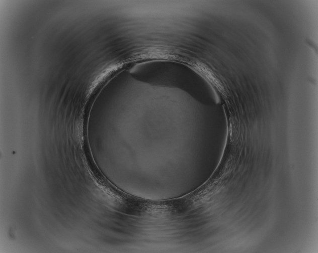 X0000096730438200802121318