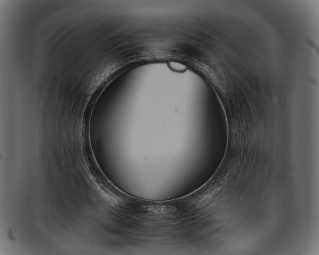 X0000096730439200802121318